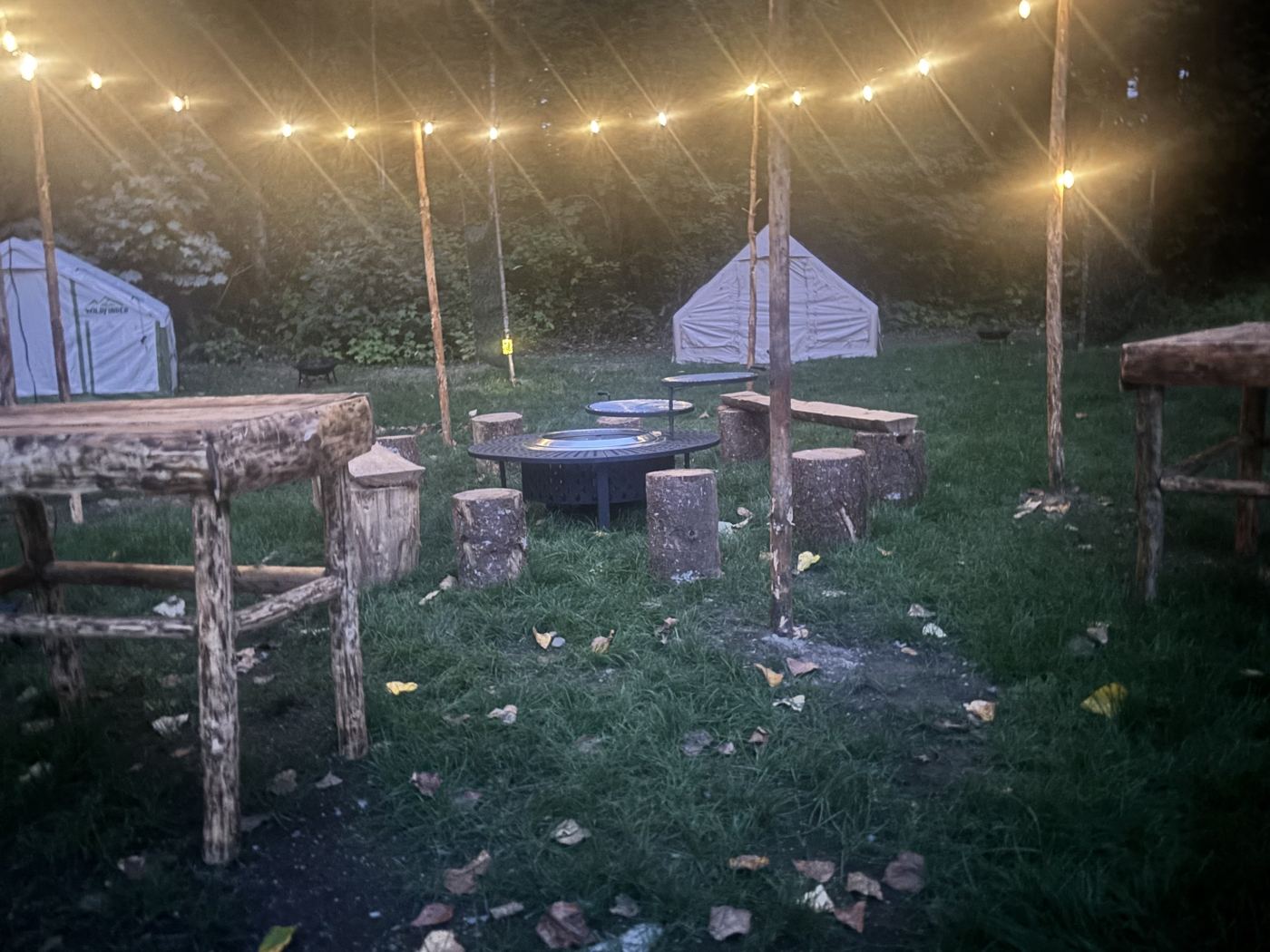 Shared bbq area string lights