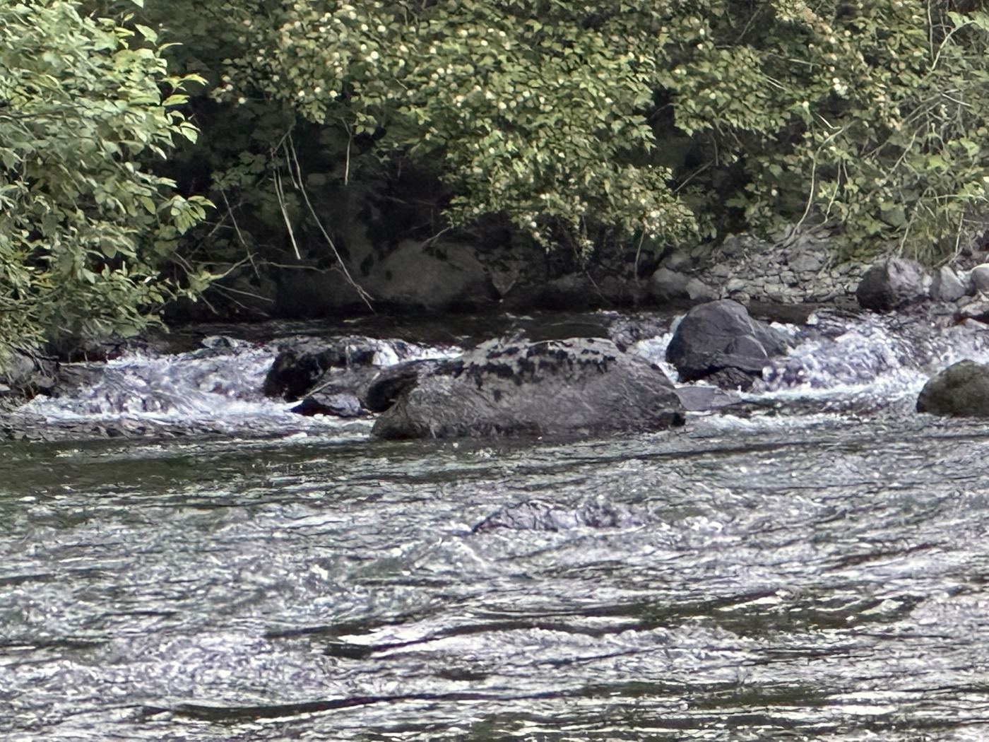 River rapids