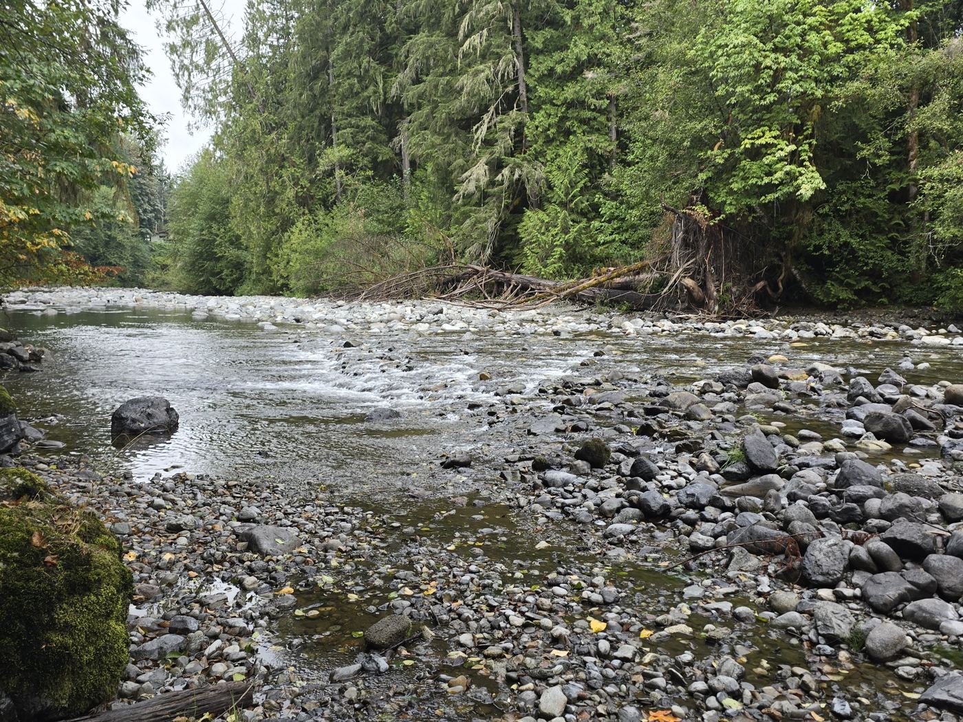 River gravel bar